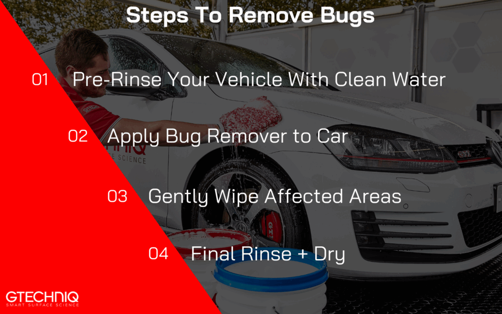 Step by step guide on how to remove bugs from your car