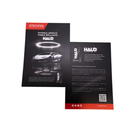 HALO Flyer