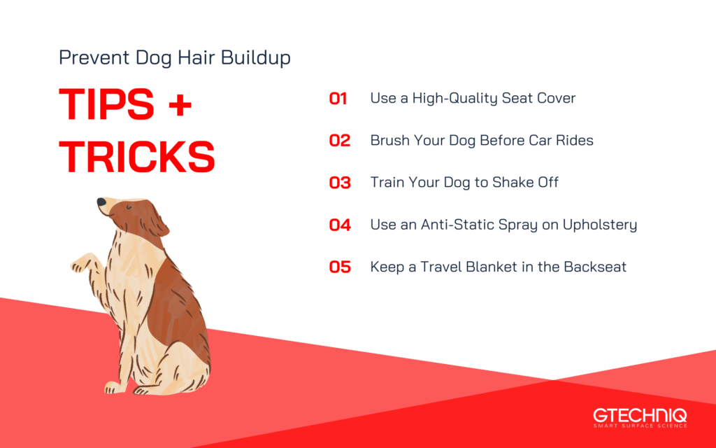 5 quick tips to help manage dog hair in the car